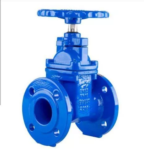 gate valve