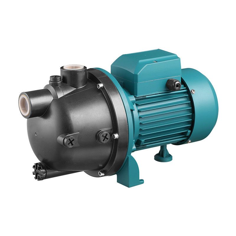 Green pool waterpump