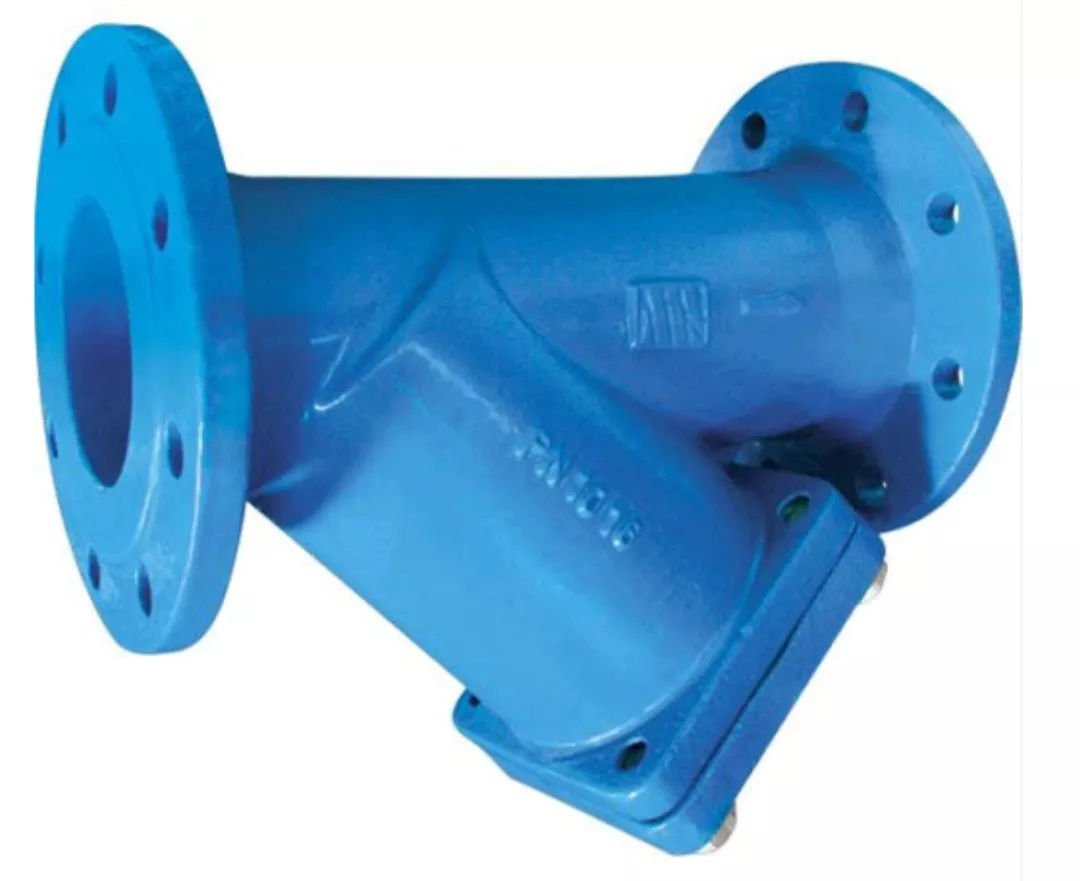 Y-strainer
